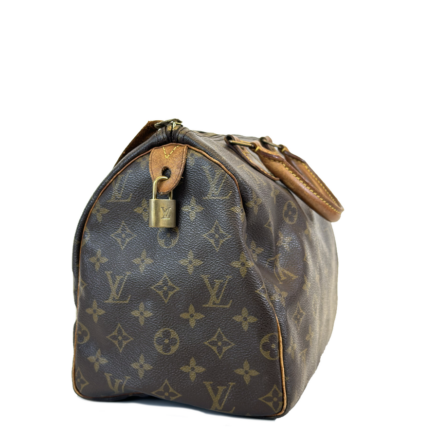 Louis Vuitton Speedy (30)