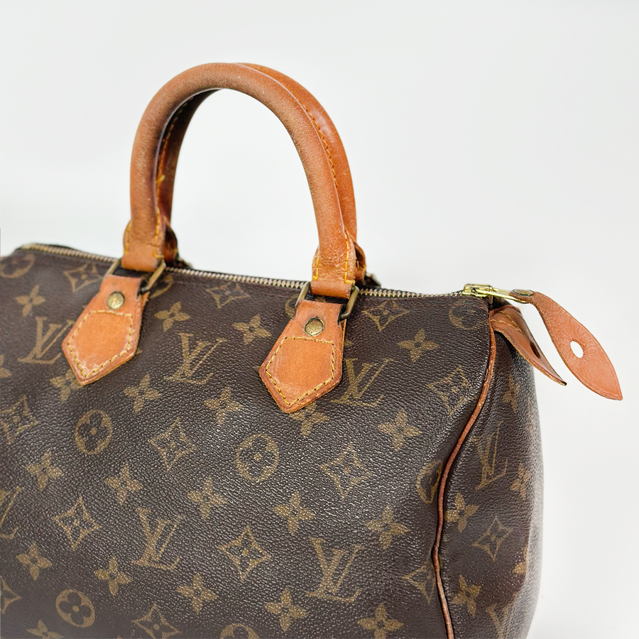 Louis Vuitton Speedy (25)