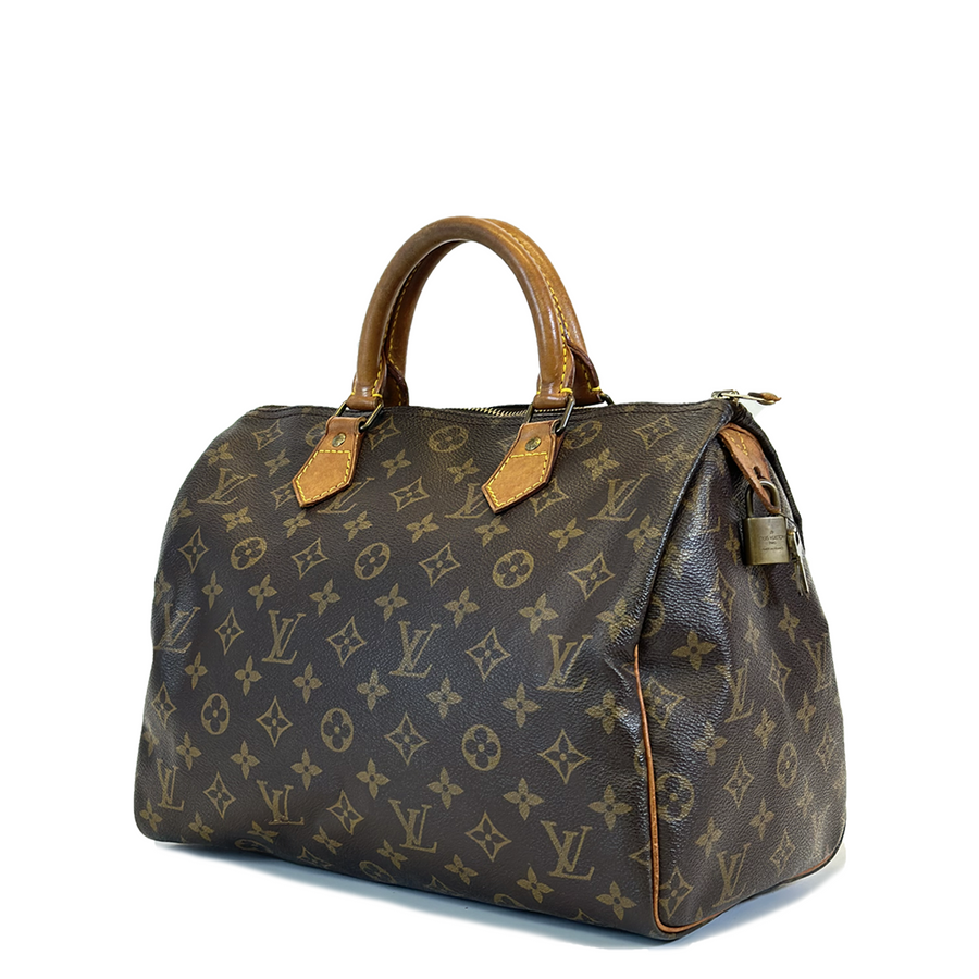 Louis Vuitton Speedy (30)