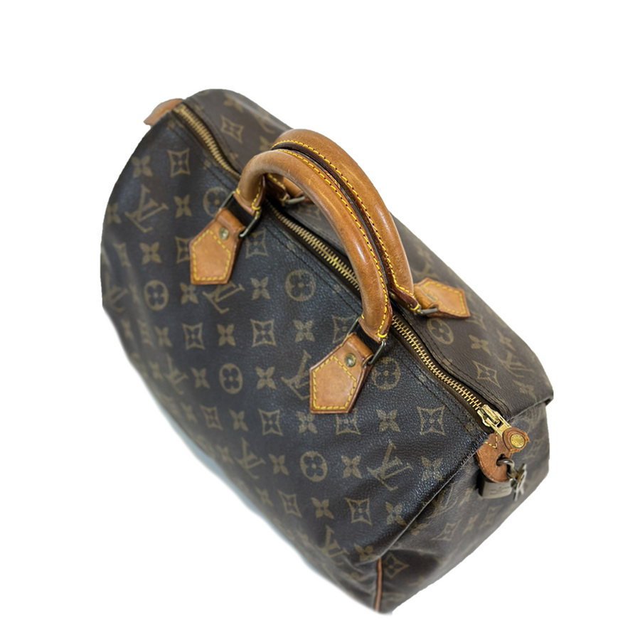 Louis Vuitton Speedy (30)