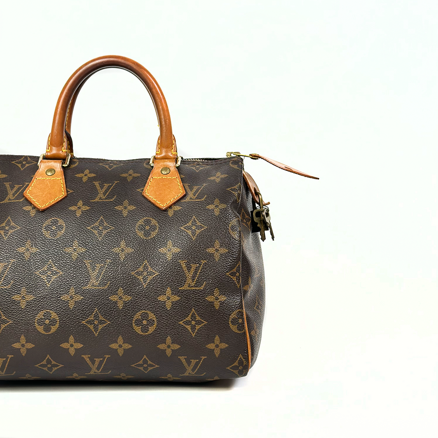 Louis Vuitton Speedy (25)