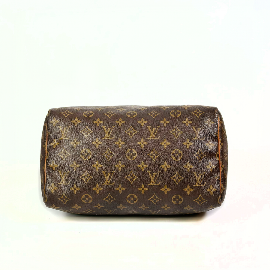 Louis Vuitton Speedy (30)