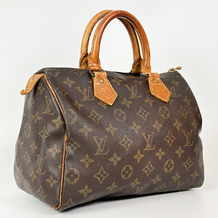 Louis Vuitton Speedy (25)