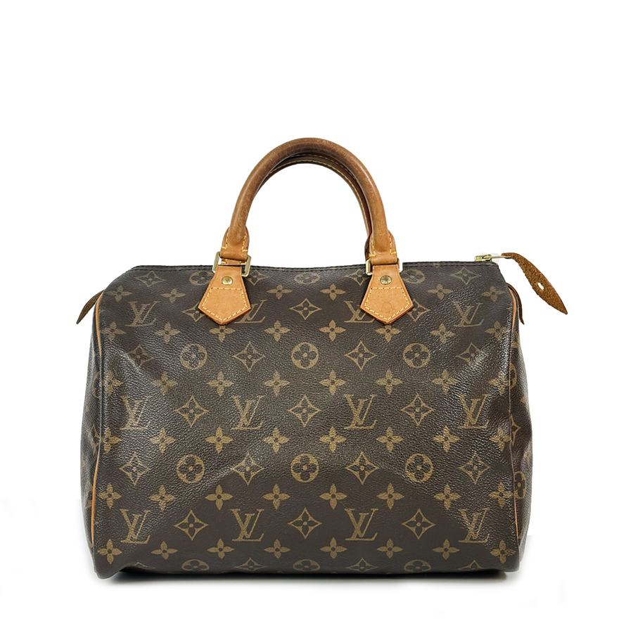 Louis Vuitton Speedy (30)