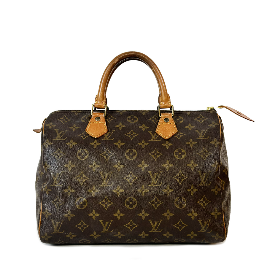 Louis Vuitton Speedy (30)