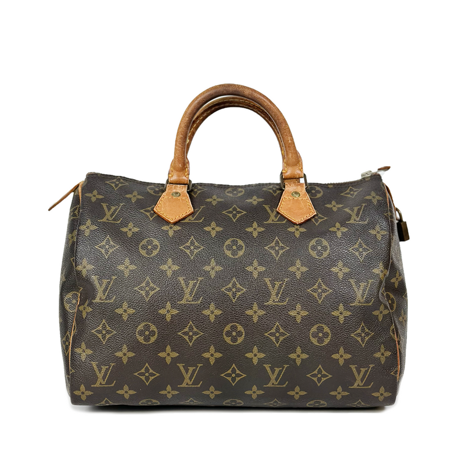 Louis Vuitton Speedy (30)