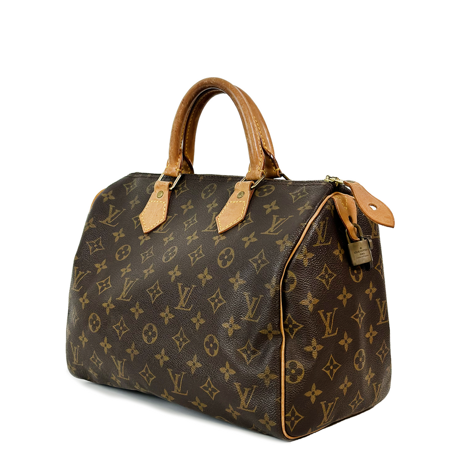 Louis Vuitton Speedy (30)