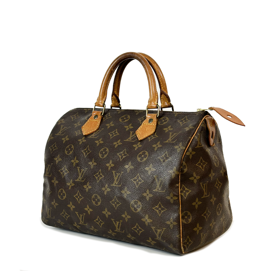 Louis Vuitton Speedy (30)