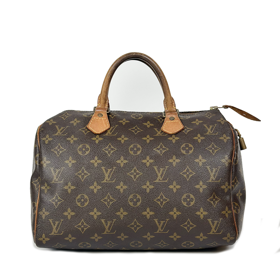 Louis Vuitton Speedy (30)