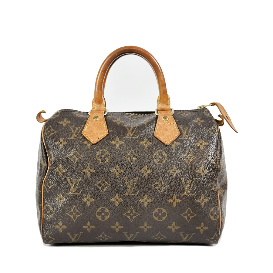 Louis Vuitton Speedy (25)