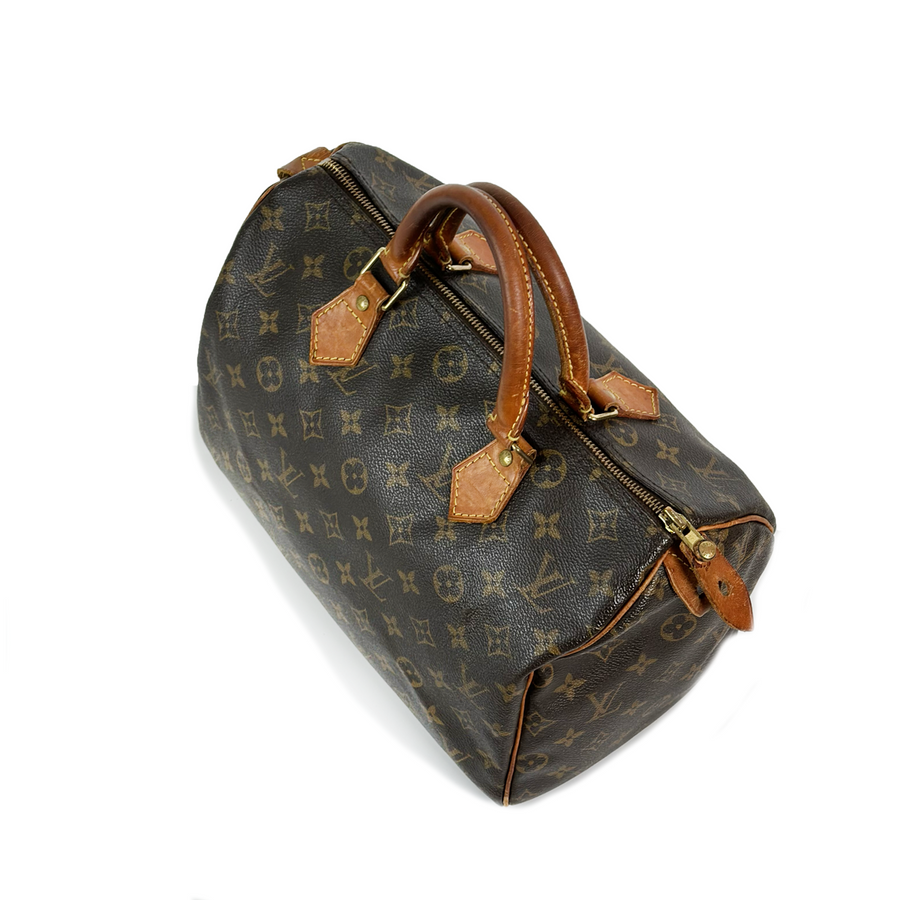 Louis Vuitton Speedy (30)