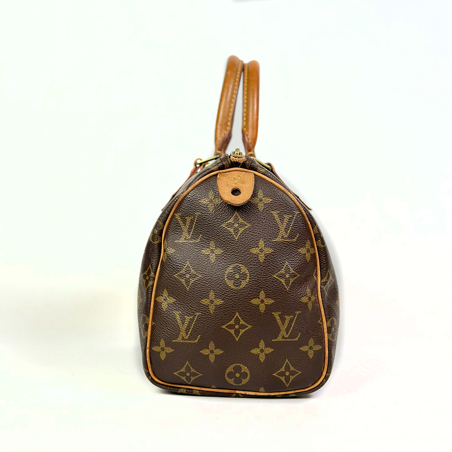 Louis Vuitton Speedy (25)