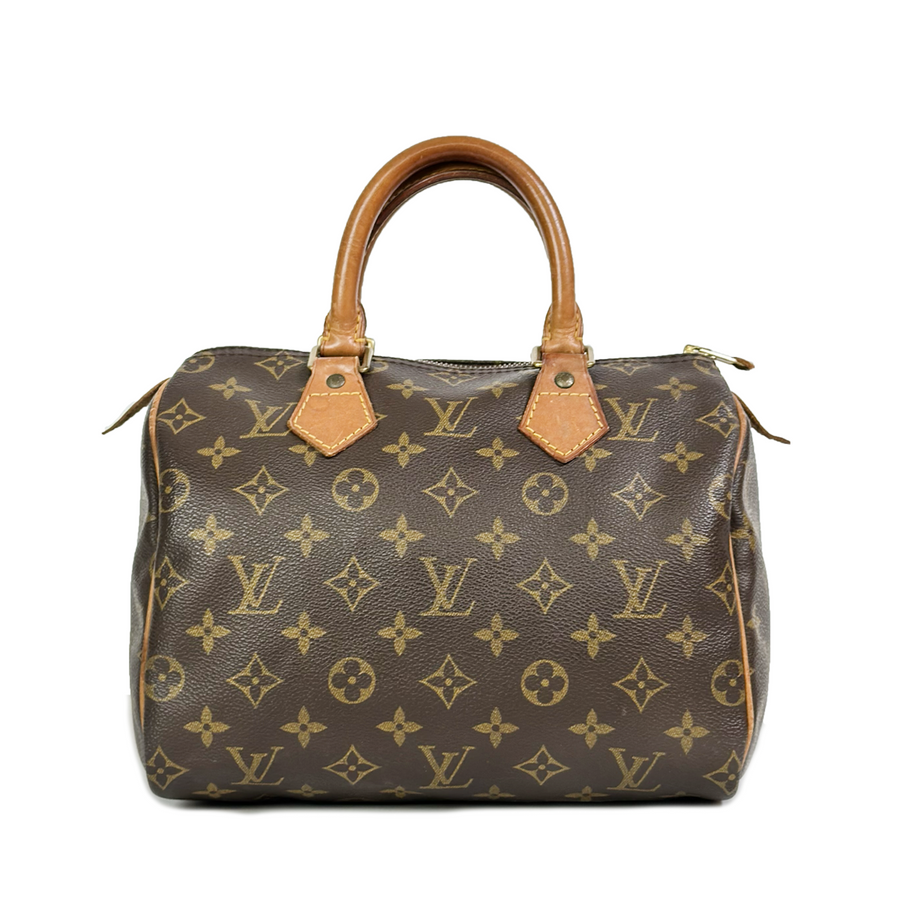 Louis Vuitton Speedy (25)