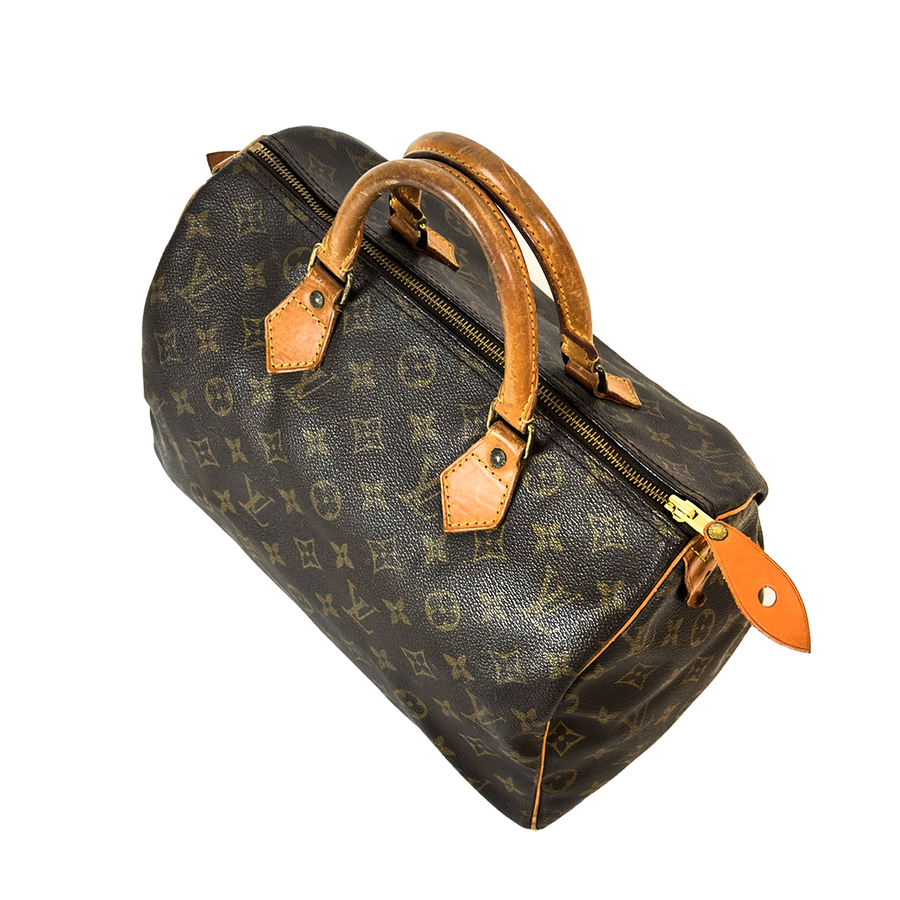 Louis Vuitton Speedy (30)