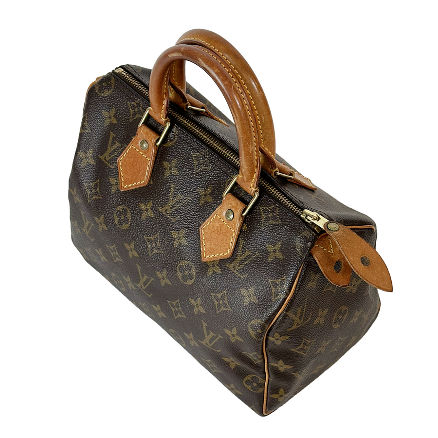 Louis Vuitton Speedy (25)