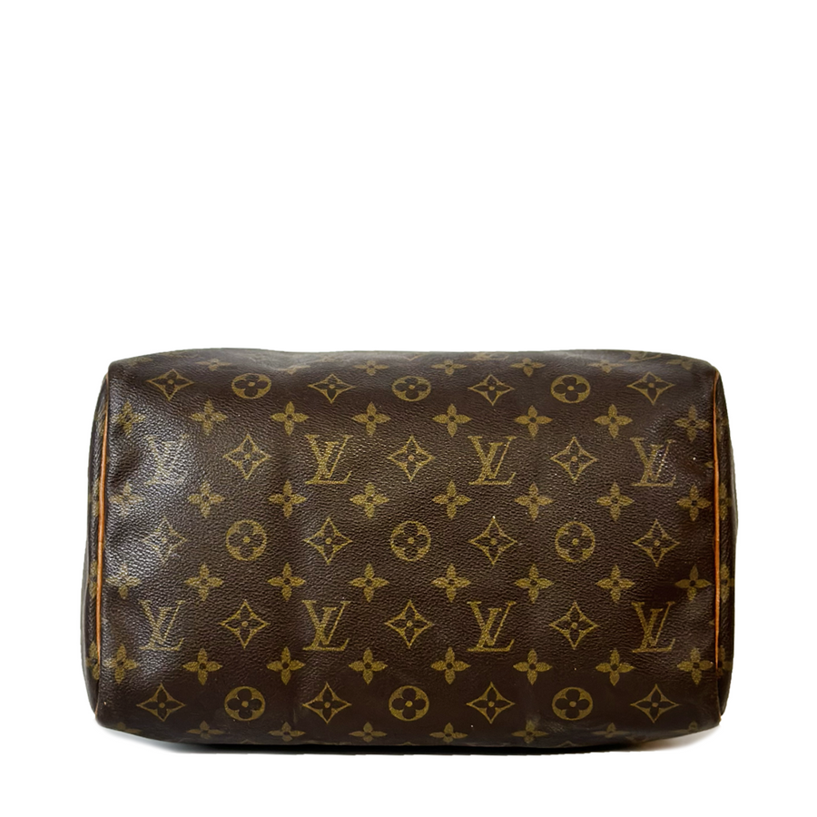 Louis Vuitton Speedy (30)