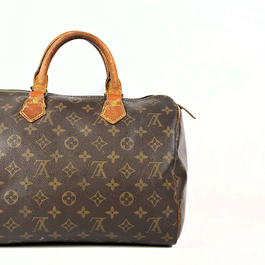 Louis Vuitton Speedy (30)