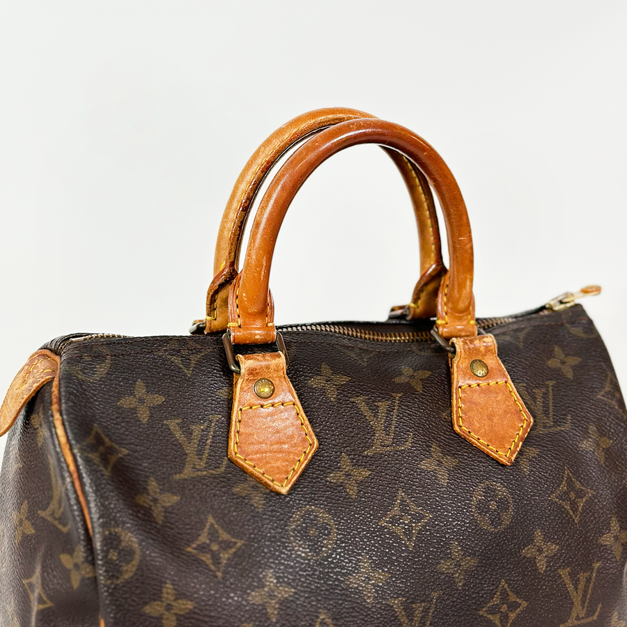 Louis Vuitton Speedy (25)