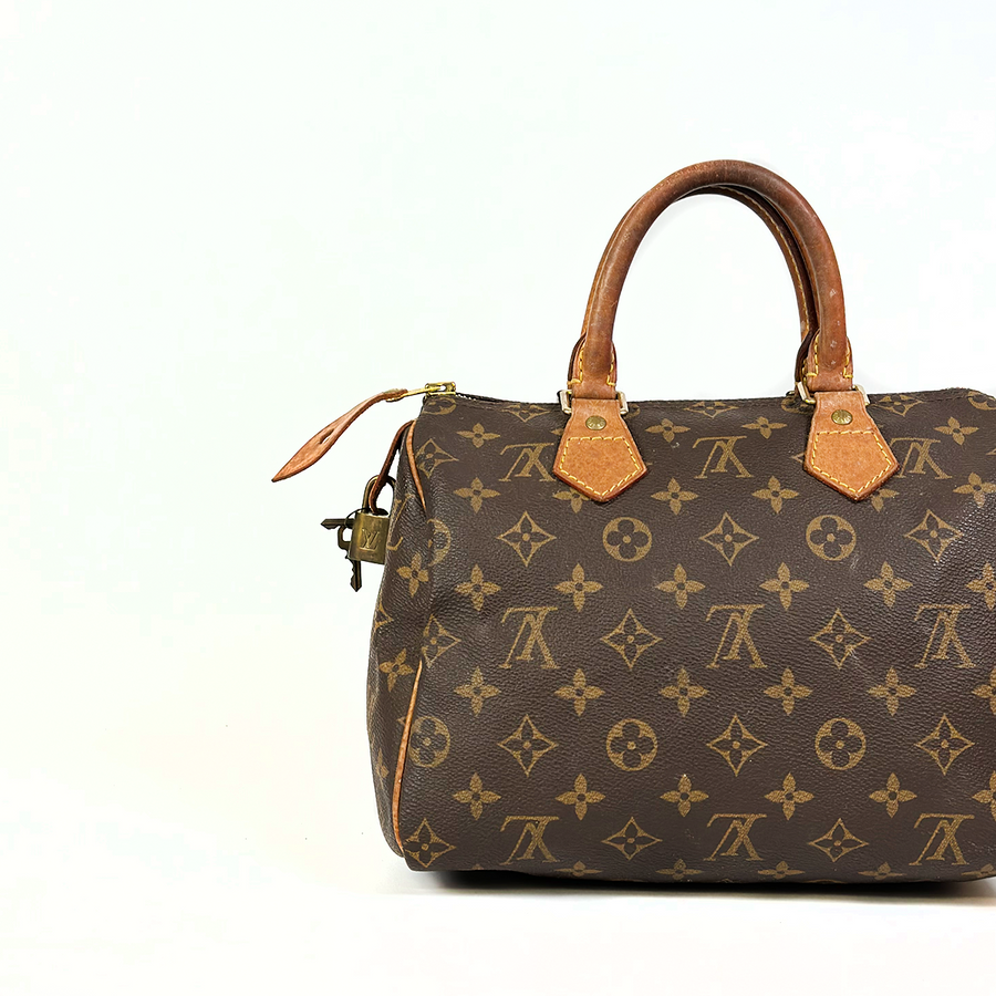 Louis Vuitton Speedy (25)