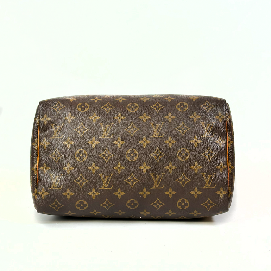 Louis Vuitton Speedy (30)