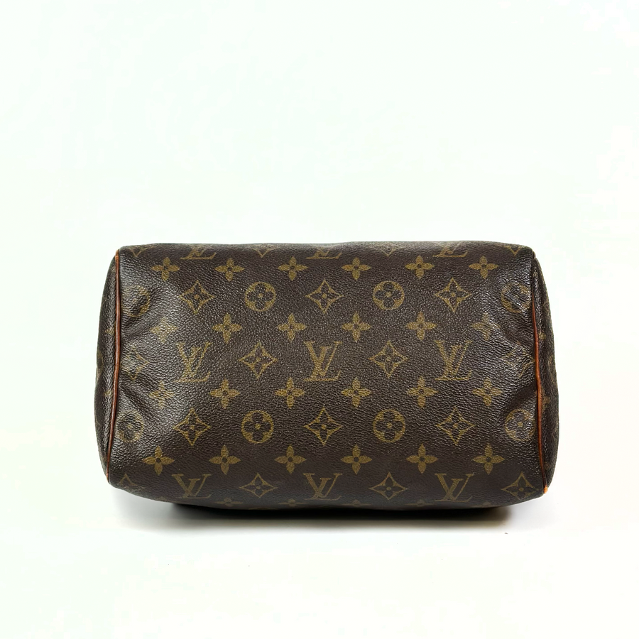 Louis Vuitton Speedy (25)