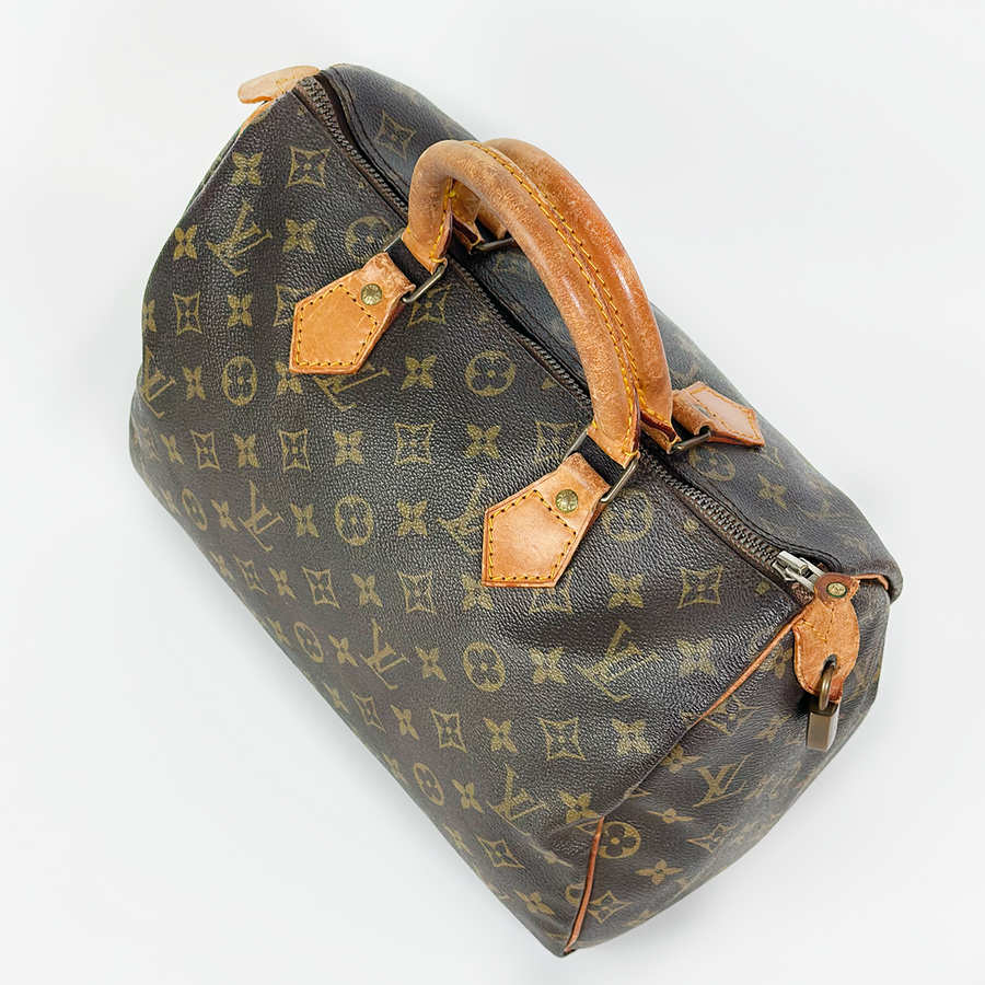 Louis Vuitton Speedy (30)