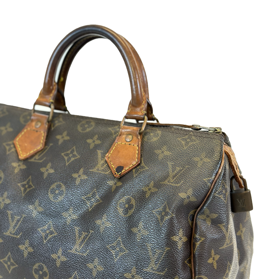 Louis Vuitton Speedy (30)