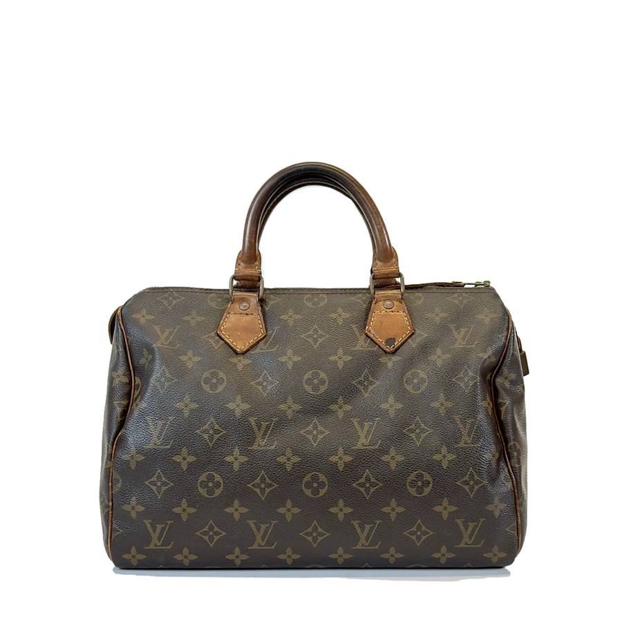 Louis Vuitton Speedy (30)