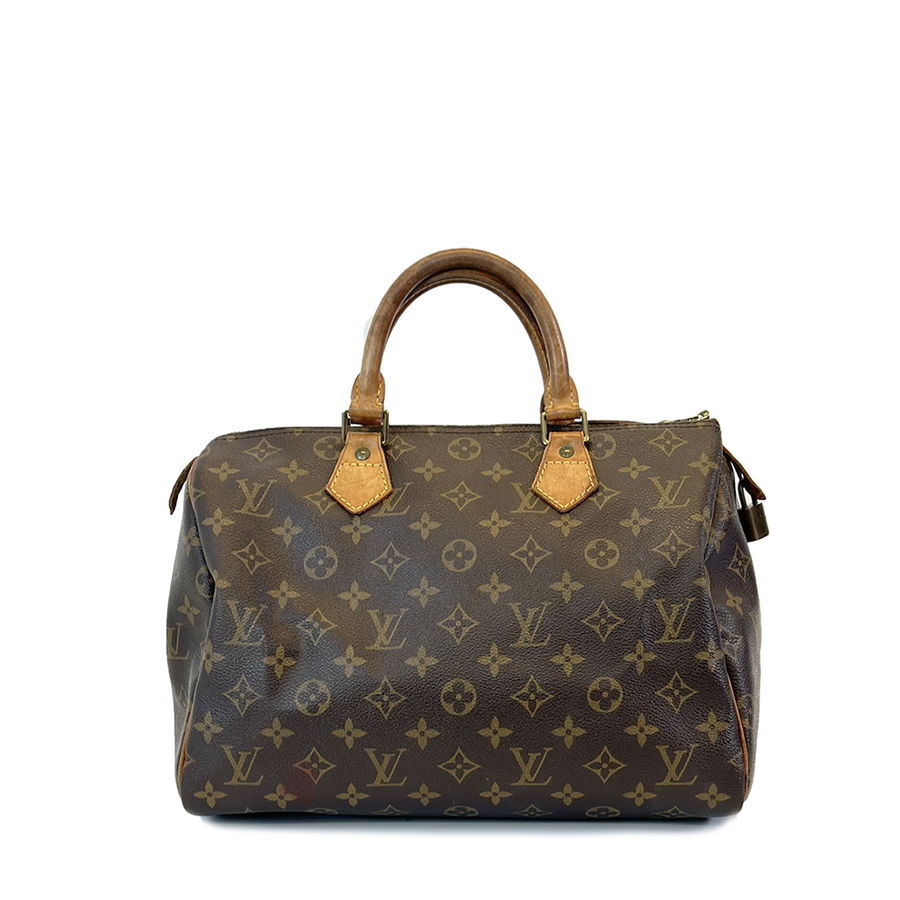 Louis Vuitton Speedy (30)