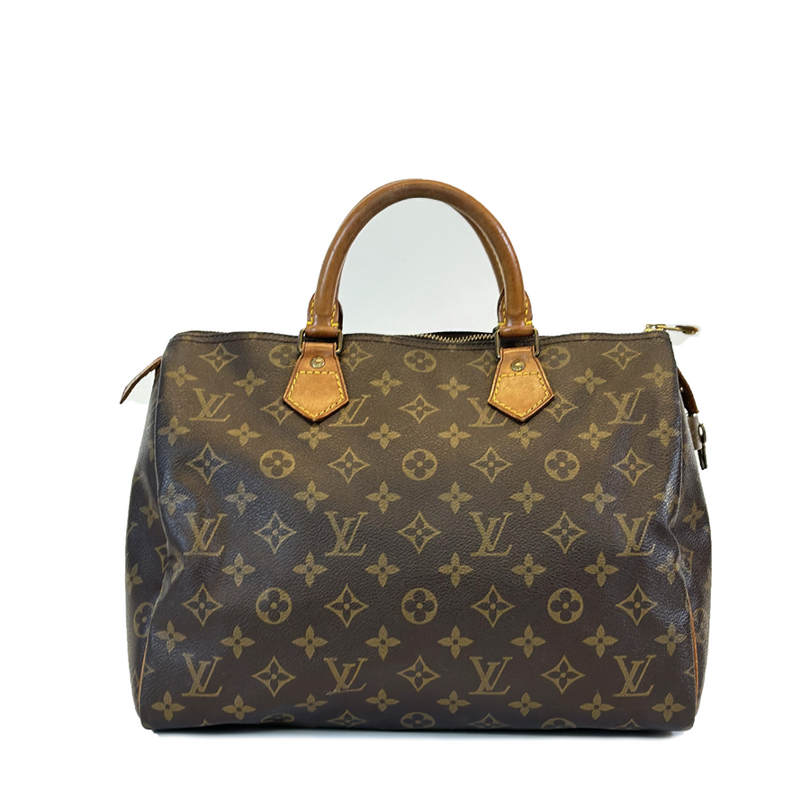 Louis Vuitton Speedy (30)