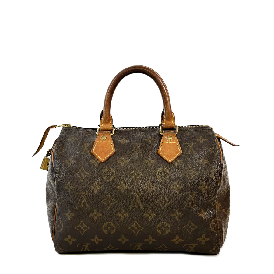 Louis Vuitton Speedy (25)