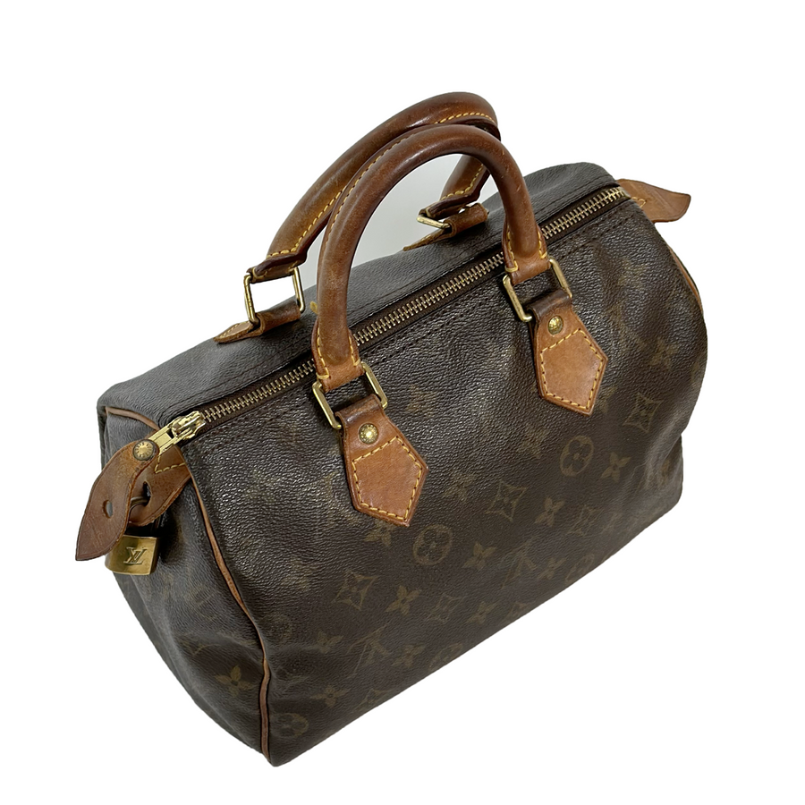 Louis Vuitton Speedy (25)