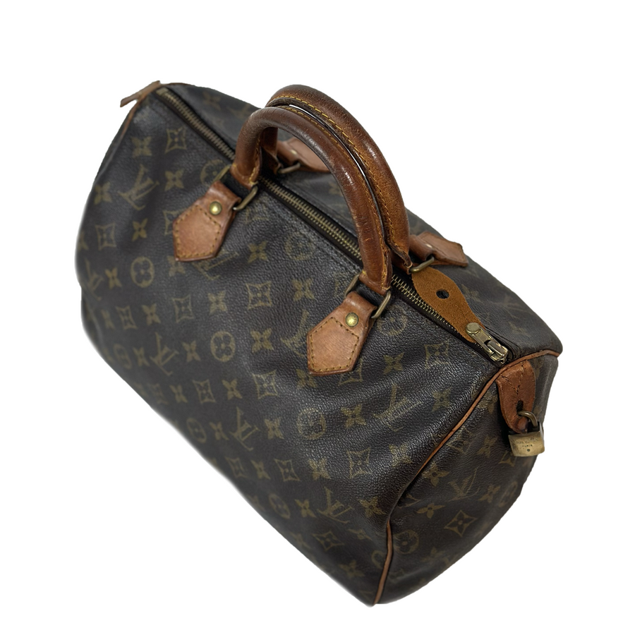 Louis Vuitton Speedy (30)