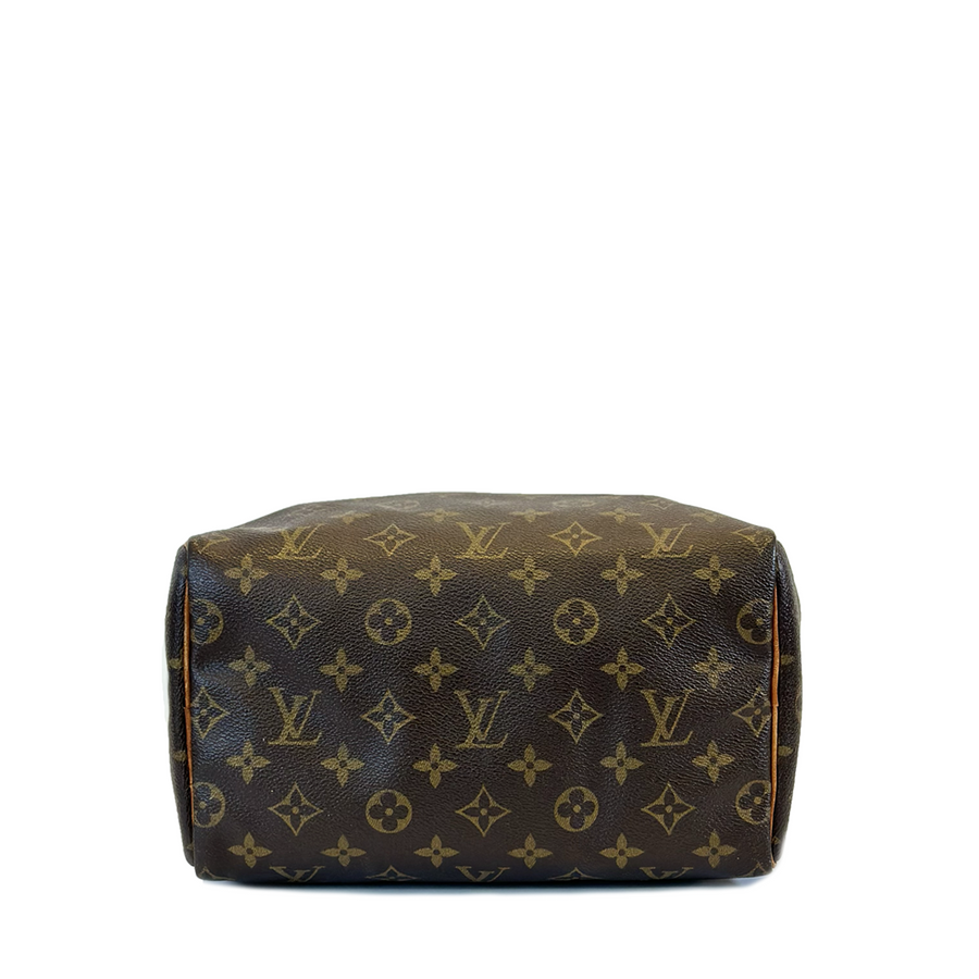 Louis Vuitton Speedy (25)