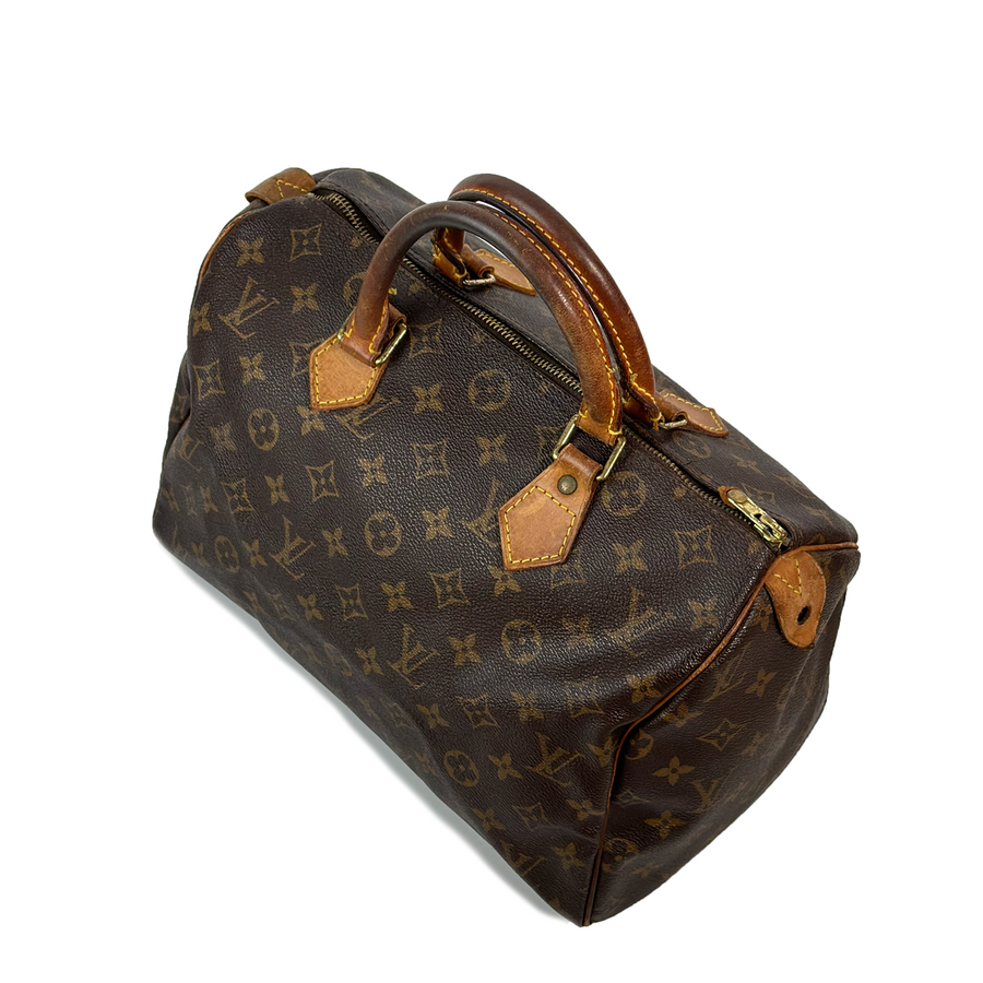 Louis Vuitton Speedy (30)