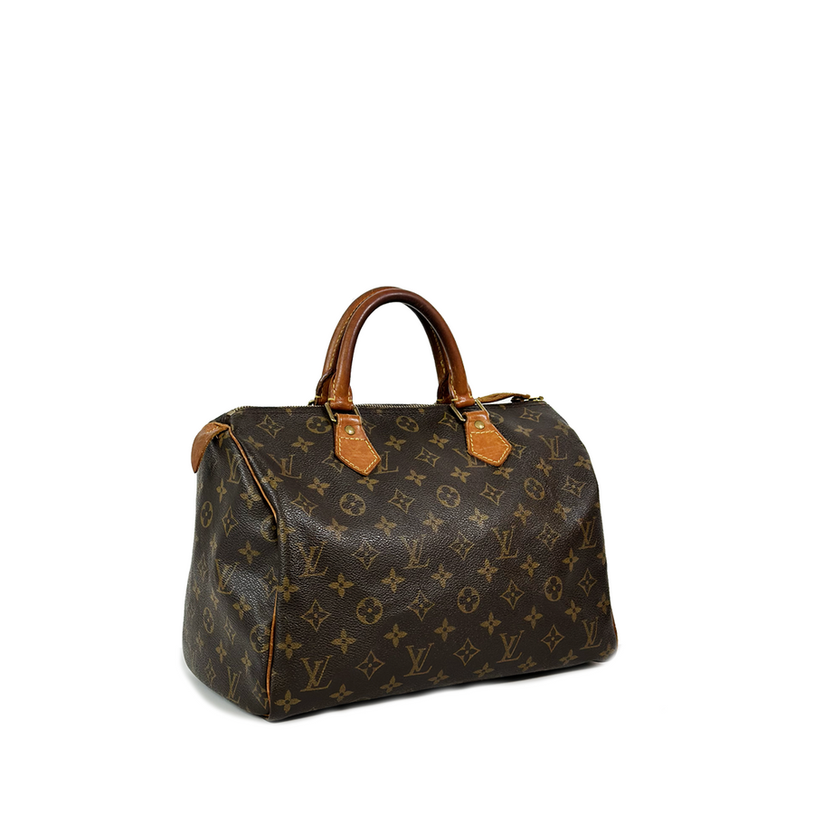 Louis Vuitton Speedy (30)