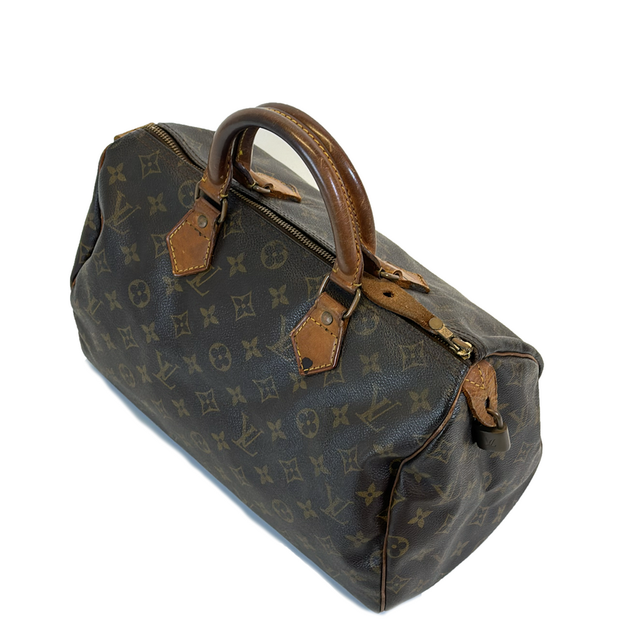 Louis Vuitton Speedy (30)