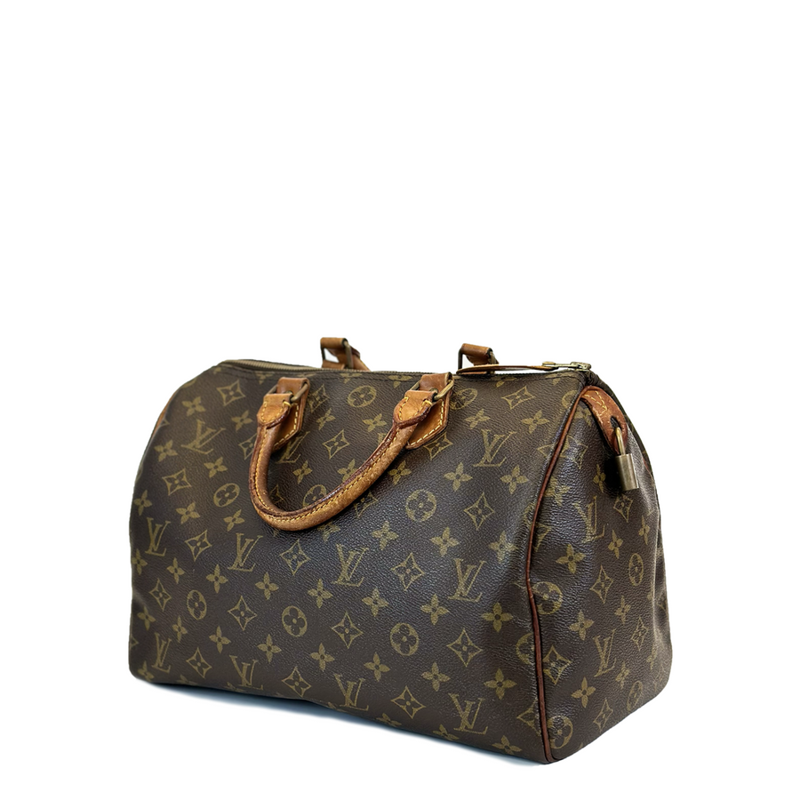 Louis Vuitton Speedy (30)