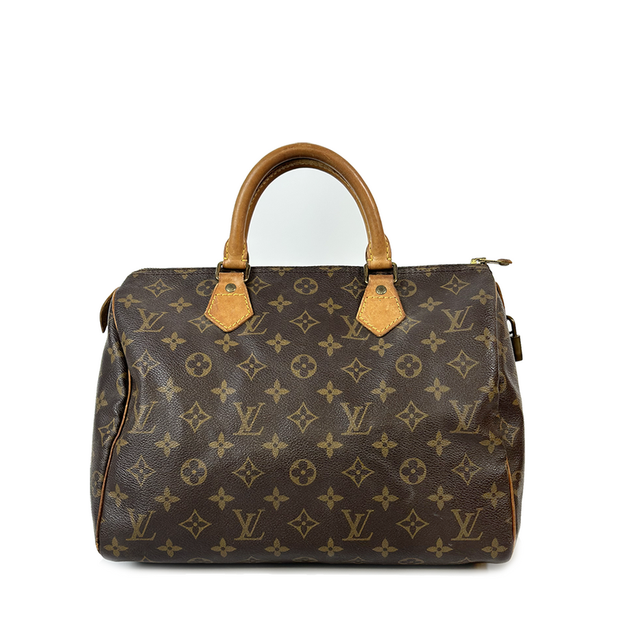 Louis Vuitton Speedy (30)