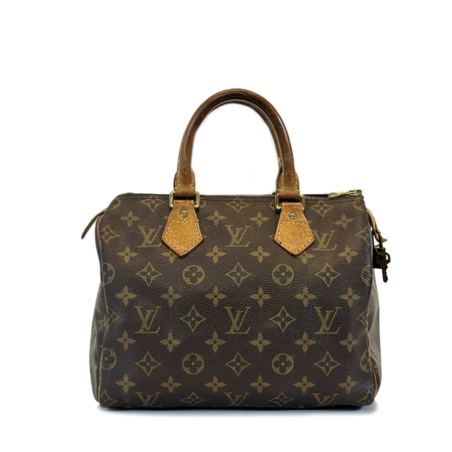 Louis Vuitton Speedy (25)