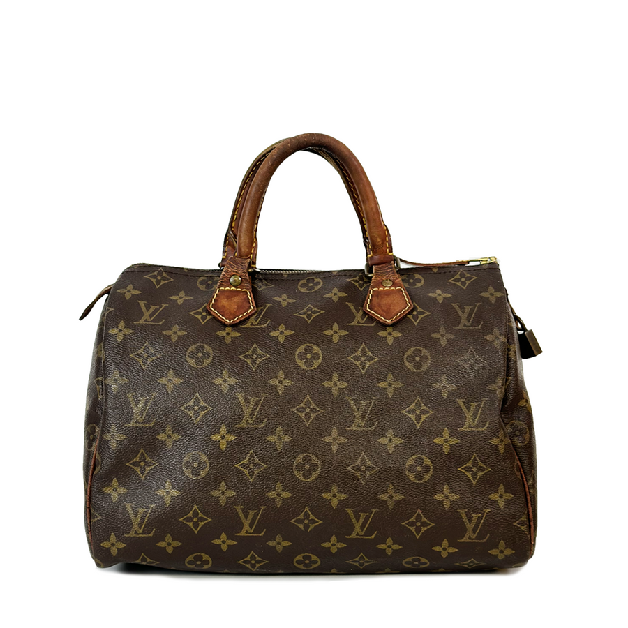 Louis Vuitton Speedy (30)