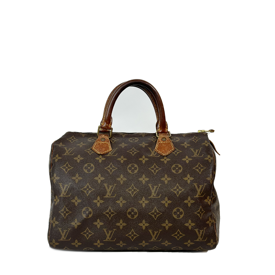 Louis Vuitton Speedy (30)