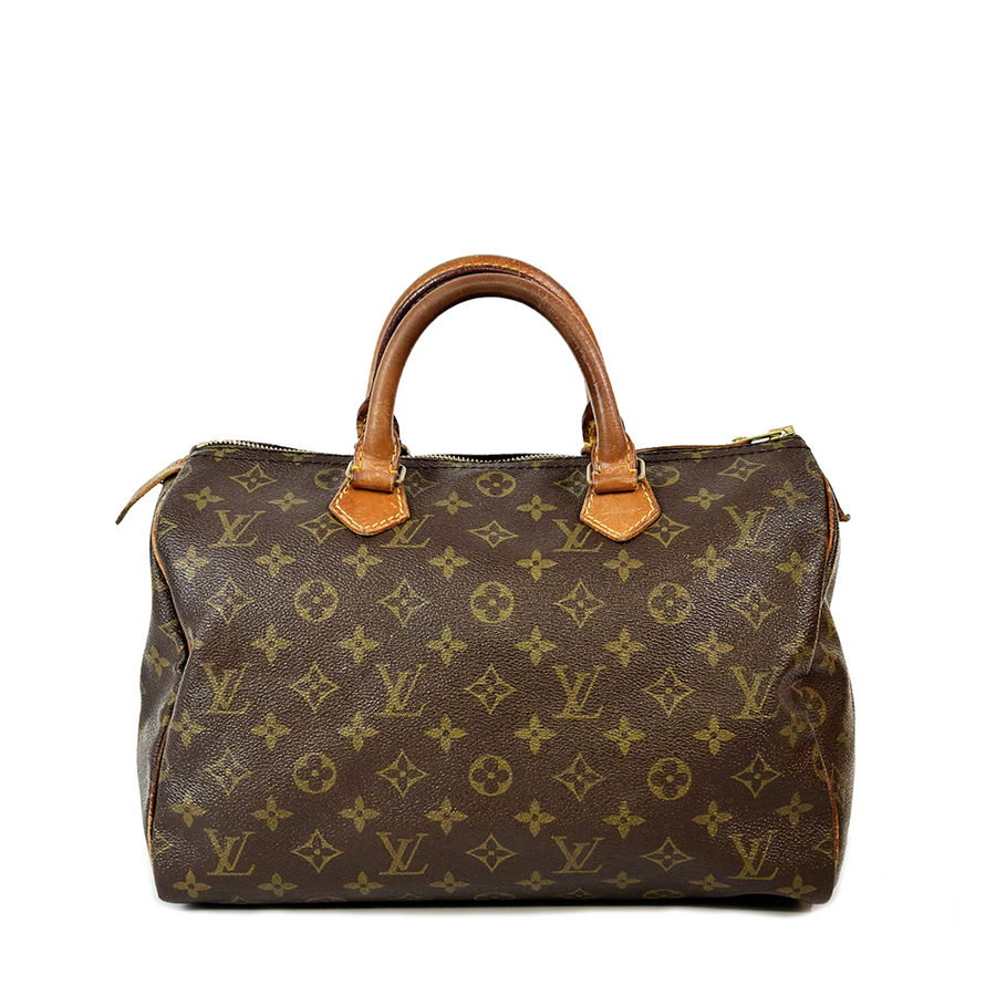 Louis Vuitton Speedy (30)