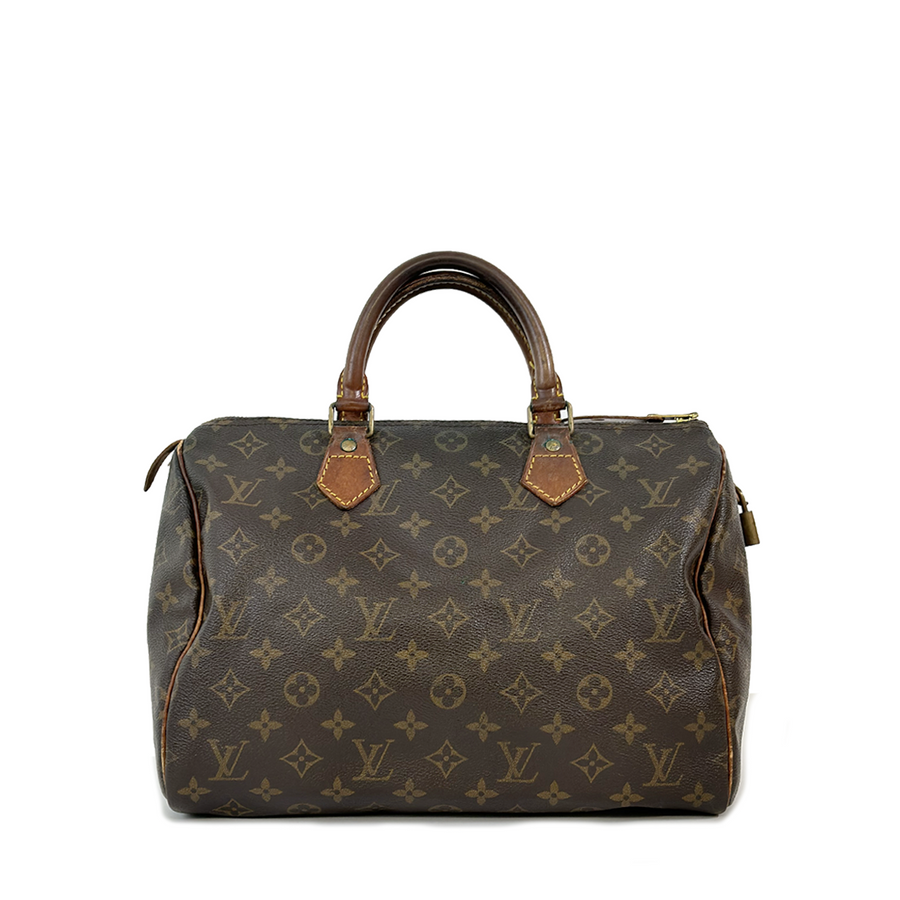 Louis Vuitton Speedy (30)