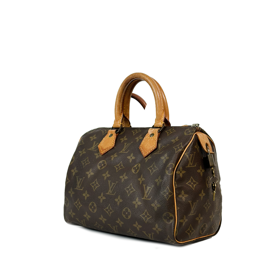 Louis Vuitton Speedy (25)