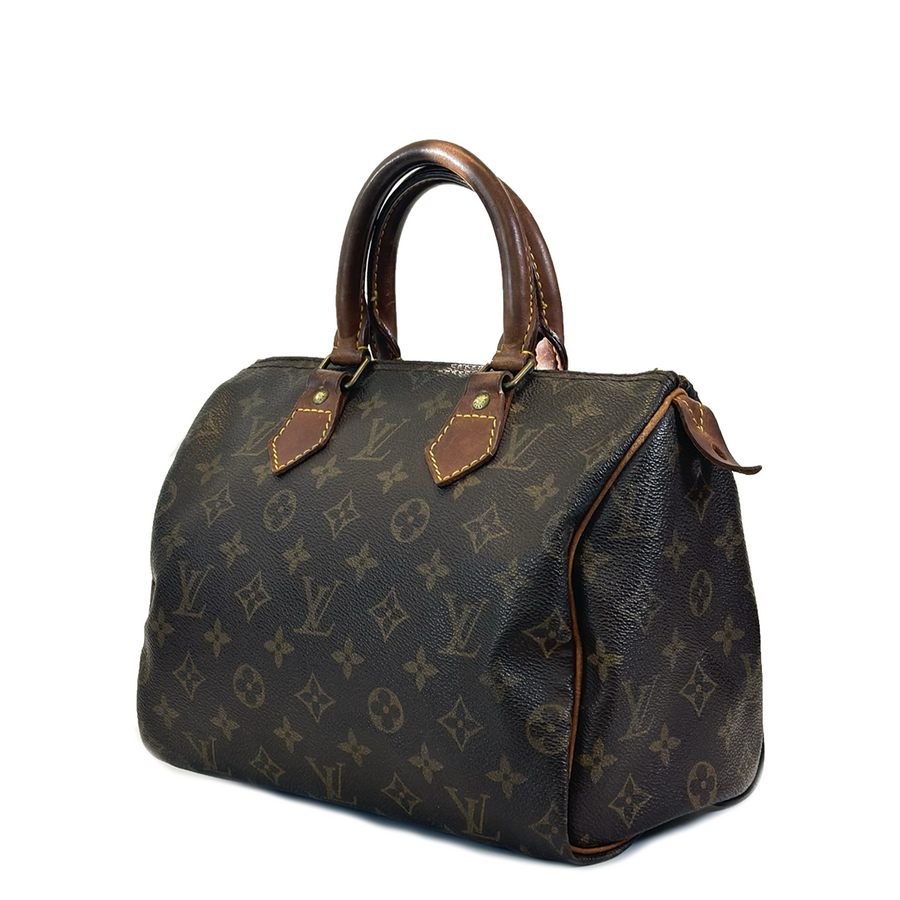 Louis Vuitton Speedy (25)