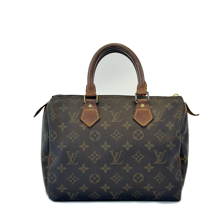 Louis Vuitton Speedy (25)