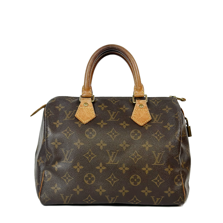 Louis Vuitton Speedy (25)