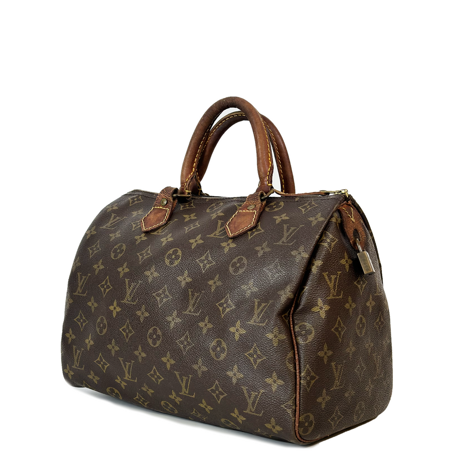 Louis Vuitton Speedy (30)