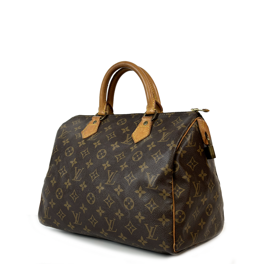 Louis Vuitton Speedy (30)